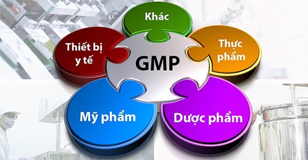 Các lĩnh vực áp dụng tiêu chuẩn GMP