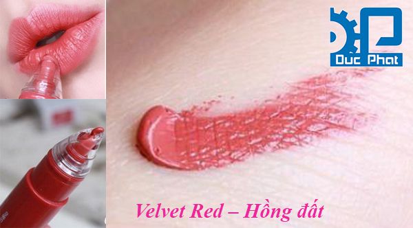 Velvet Red – Hồng đất - Baobiducphat