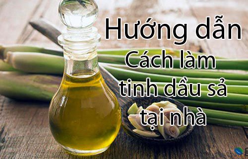 Hướng dẫn cách làm tinh dầu xả tại nhà đơn giản và tiết kiệm