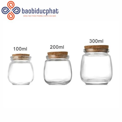 Hũ thủy tinh đựng bánh pudding trong suốt 100l 200ml 300ml
