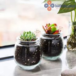 Hũ thủy tinh đựng bánh pudding trong suốt 100l 200ml 300ml