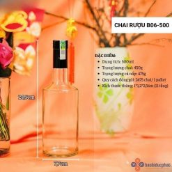 Chai đựng rượu thủy tinh B06-500